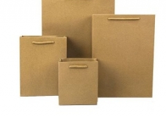 Túi giấy kraft A3, A4